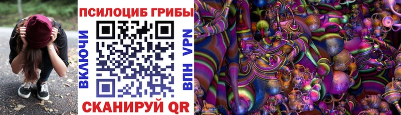 Псилоцибиновые грибы мицелий  купить наркоту  Красноуфимск 