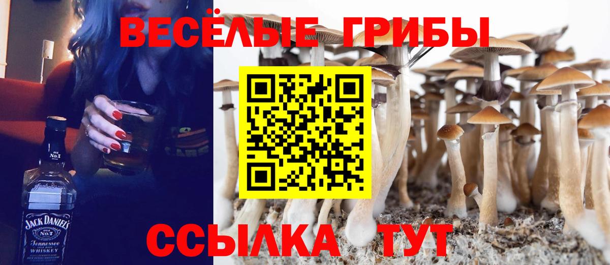 Галлюциногенные грибы GOLDEN TEACHER Красноуфимск
