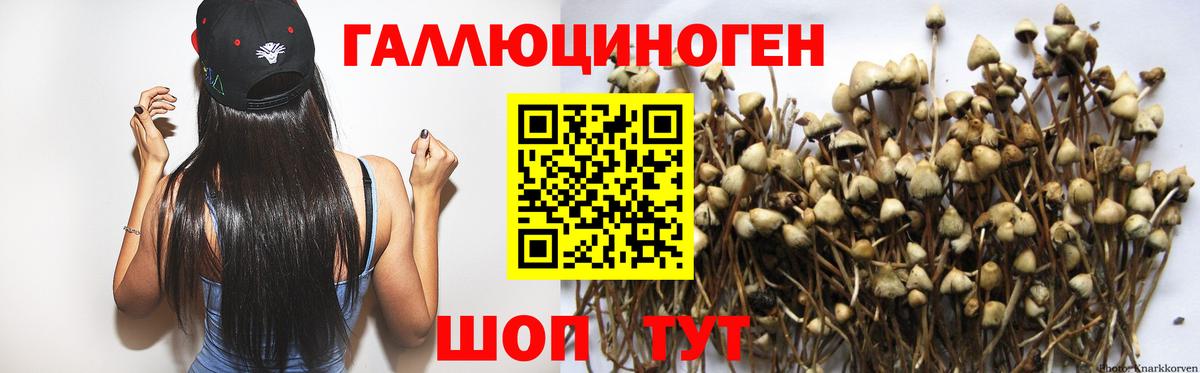 сколько стоит  Галлюциногенные грибы прущие грибы  Вход с VPN  Красноуфимск 