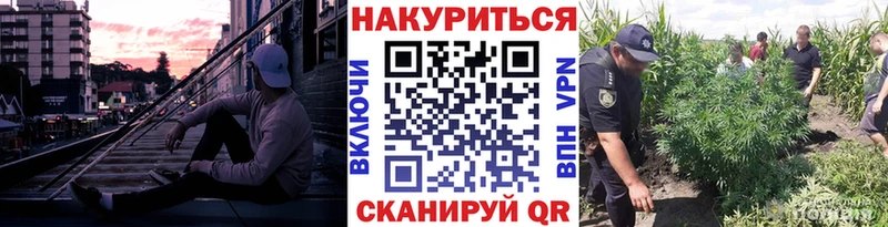Шишки марихуана White Widow  наркошоп  Красноуфимск 